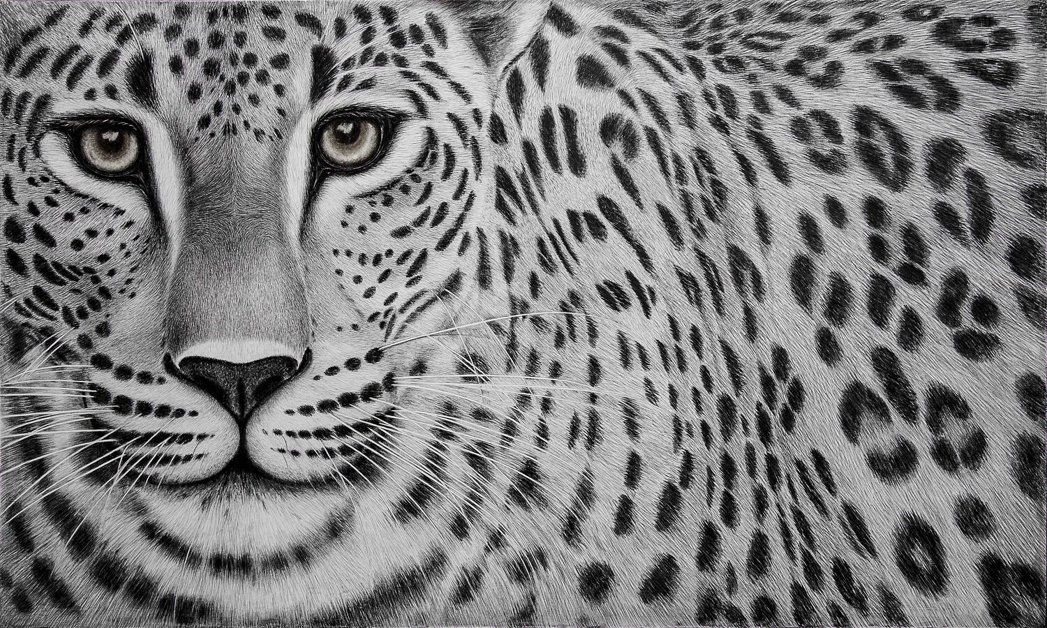 " Steady " Indika Wijewardana