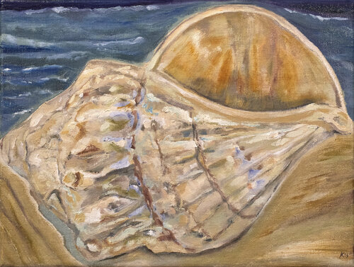 The sea shell spirit von Camilo Osorio Suarez, Malerei kaufen auf Singulart