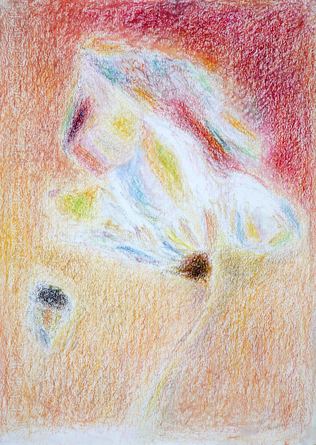 Fiore nel vento Rachele De Dominicis