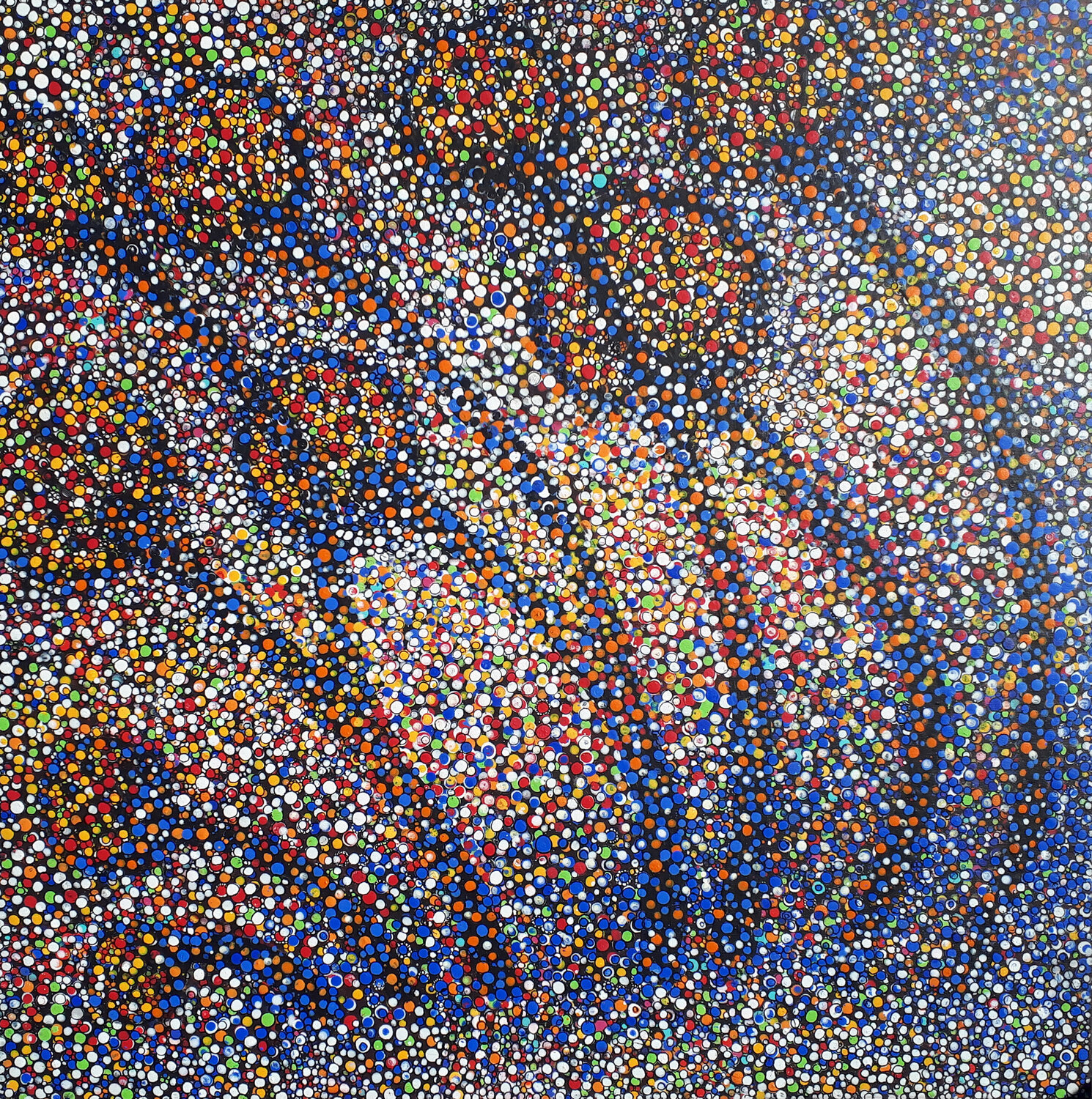 Kugelköpflinge Friedhard Meyer