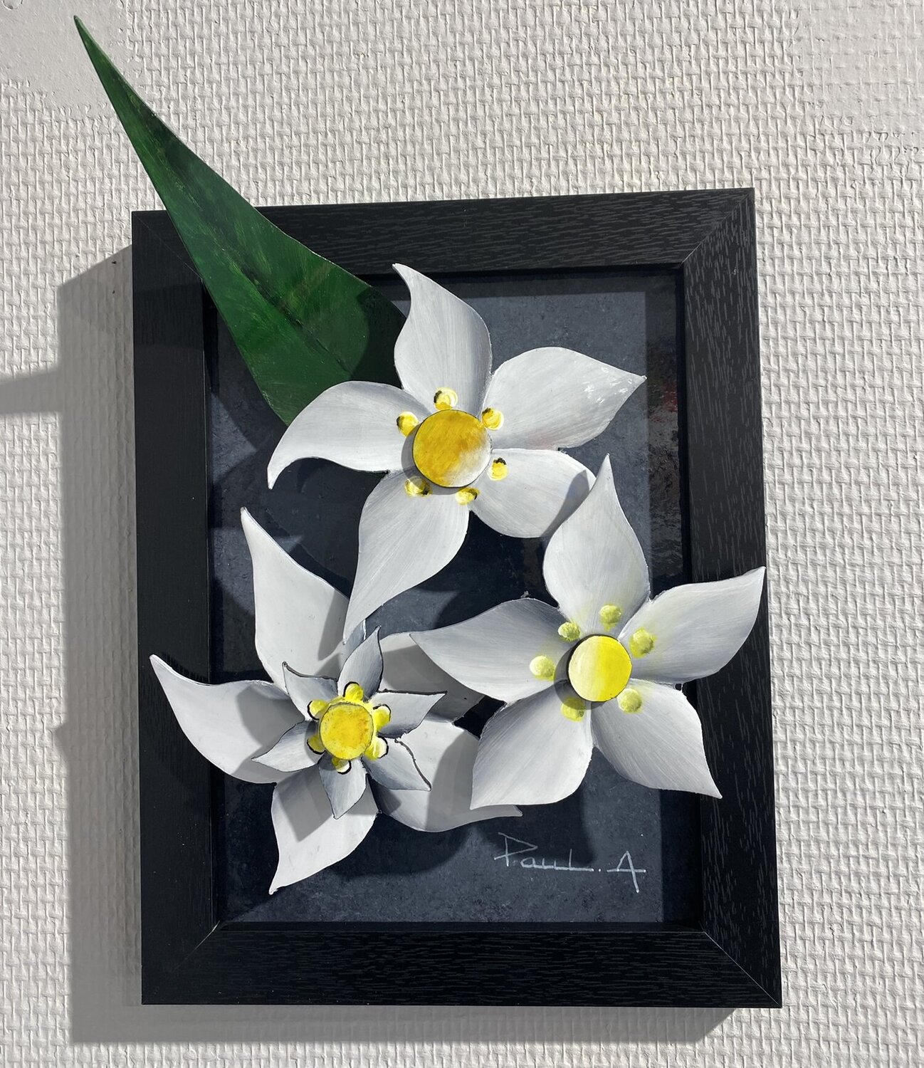 Edelweiss PAUL Alain