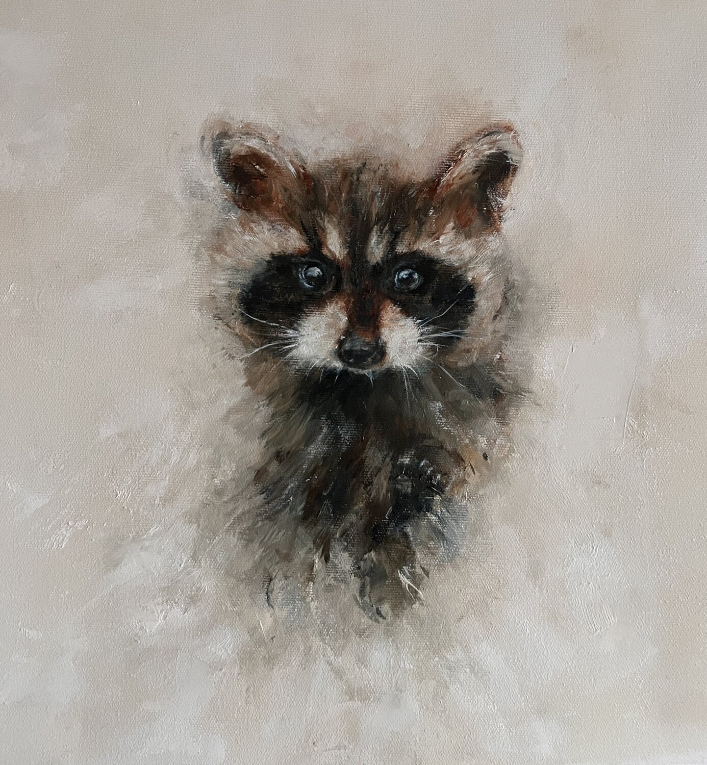 Waschbär-Baby Petra Wetzig