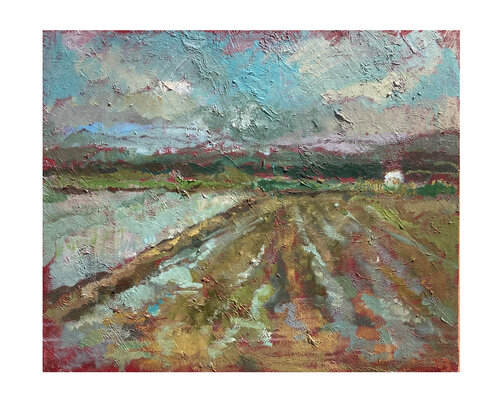 Albufera Lake (rice zone) in Valencia, Spain van Natalia Basil, Schilderij te koop op Singulart