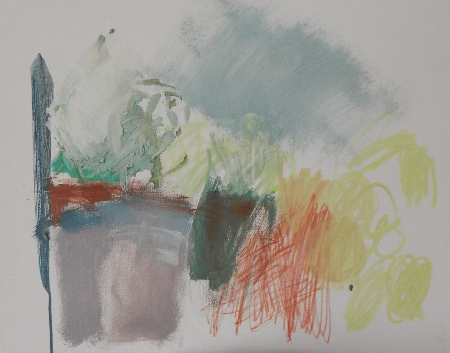 Plants on my terrace Natalia Vasil