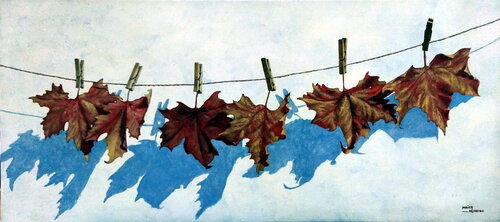 La fragilidad de la vida I Xabier Obeso