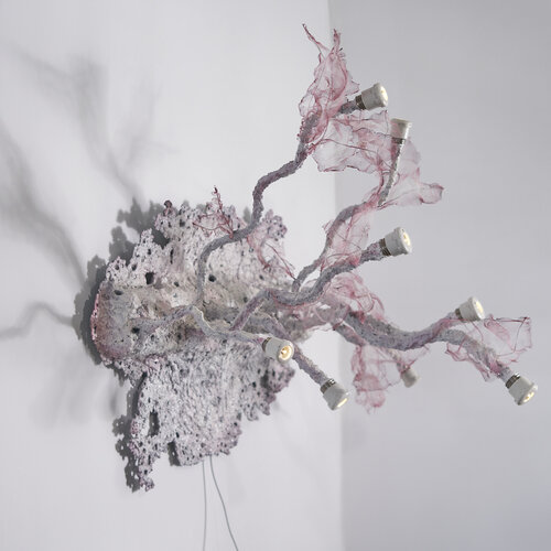 Illuminating Growth von Yelyzaveta Gaydukova, Skulptur kaufen auf Singulart