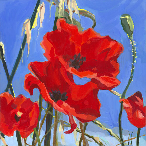 Poppy Series: No 10 van Monica Carroll, Schilderij te koop op Singulart