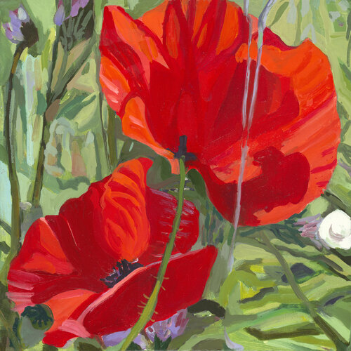 Poppy: No 11 van Monica Carroll, Schilderij te koop op Singulart