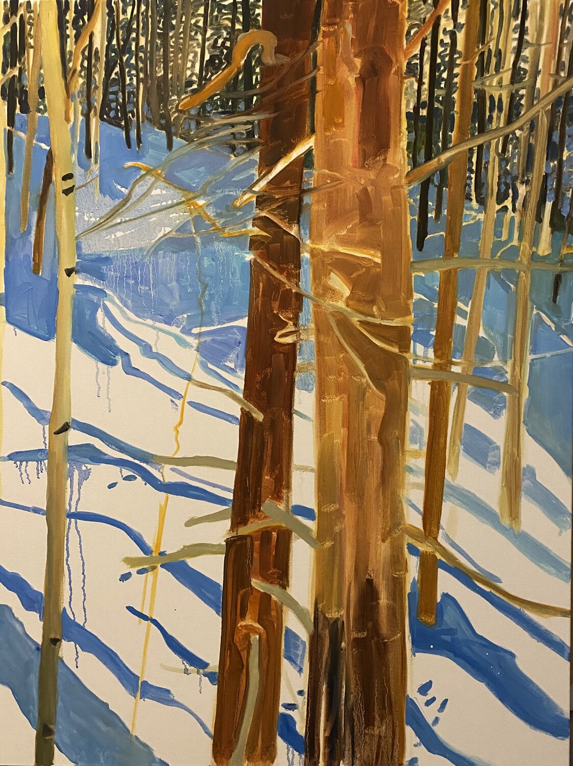 Sticks, Shadow, Snow Monica Carroll