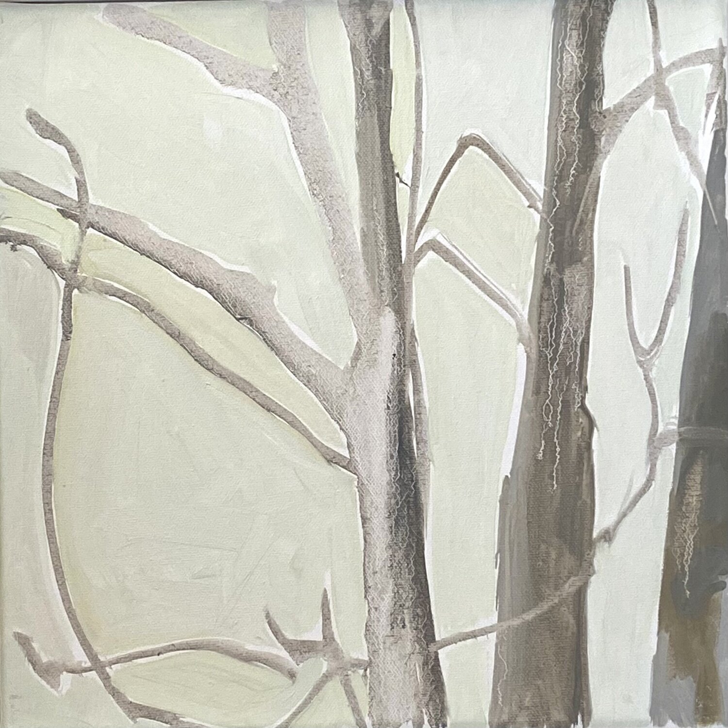 Winter Light Through Maple Monica Carroll