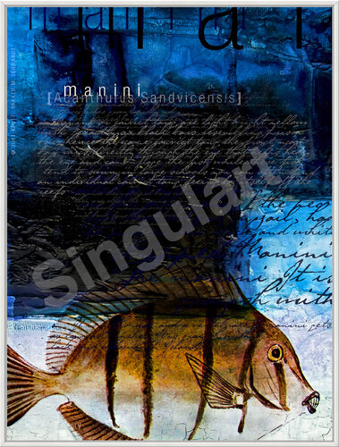 Manini (K017) - Open Edition von Harald-M Lehnardt, Druck kaufen auf Singulart