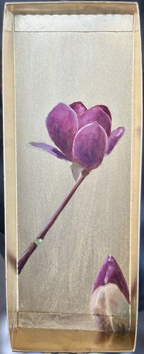 Magnolie de Susanne Heß, Pintura a la venta en Singulart
