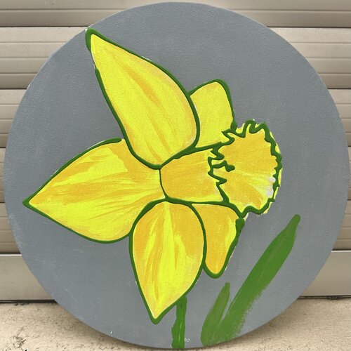 Narzisse, Osterglocke by Susanne Heß, Drawing for Sale on Singulart