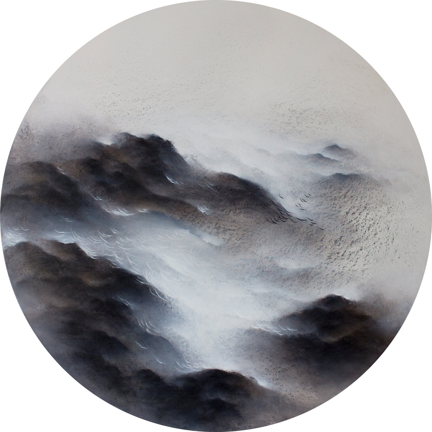 The secret of my seeds Francesca Borgo