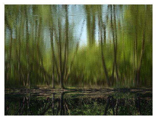 Auenlandschaft I di Edgar Mall, Fotografia in vendita su Singulart