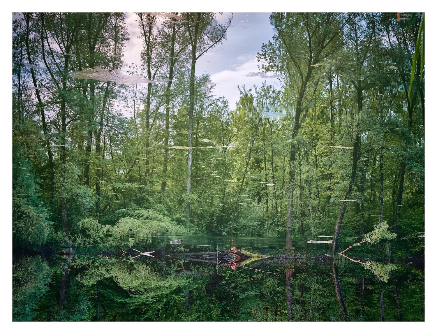 Auenlandschaft II Edgar Mall