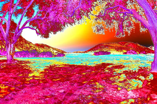 NAND2Art_5703-1 Hoanib River van Philippe Rivens, Fotografie te koop op Singulart