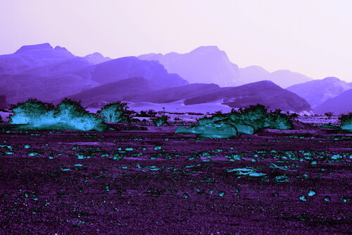 NAND2Art_7630-2 Hoanib River van Philippe Rivens, Fotografie te koop op Singulart