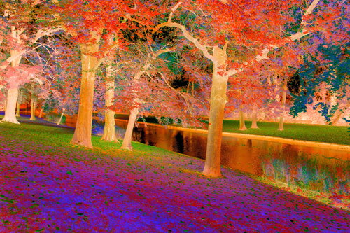 NAND2Art_1790 di Philippe Rivens, Fotografia in vendita su Singulart