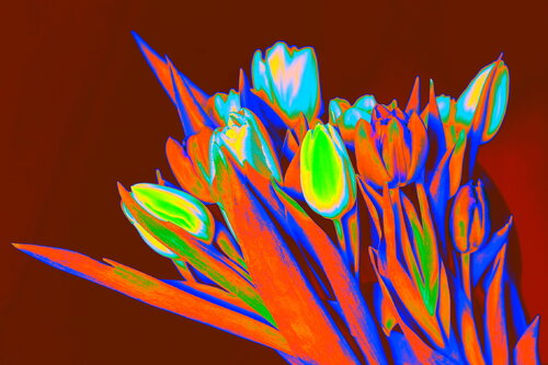 1678 von Philippe Rivens, Fotografie kaufen auf Singulart