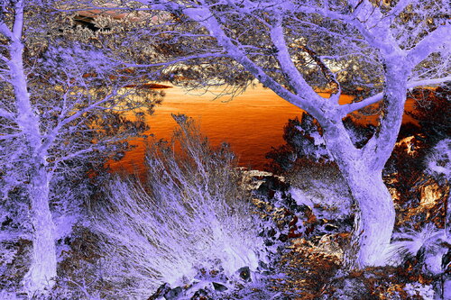NAND2Art_5856-2 von Philippe Rivens, Fotografie kaufen auf Singulart
