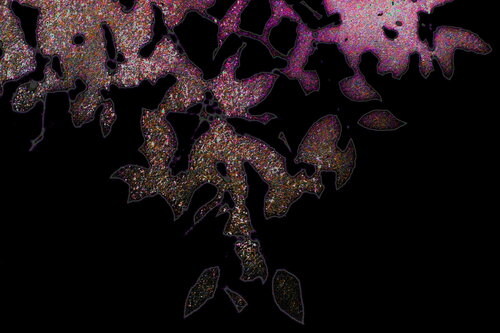 NAND2Art_4394-3 Rubislands by Philippe Rivens, 사진 for Sale on Singulart