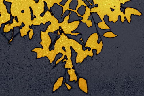 NAND2Art_4394-1 Ombre dorée by Philippe Rivens, 사진 for Sale on Singulart
