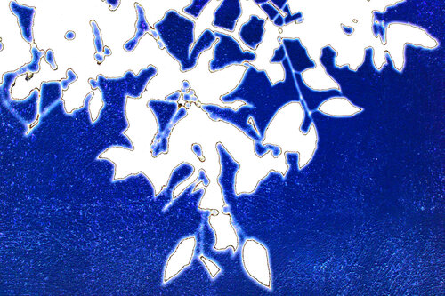 NAND2Art_4394 Digital cyanotype by Philippe Rivens, 사진 for Sale on Singulart