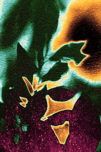 NAND2Art_4389-multi Eclosion spectrale by Philippe Rivens, 사진 for Sale on Singulart