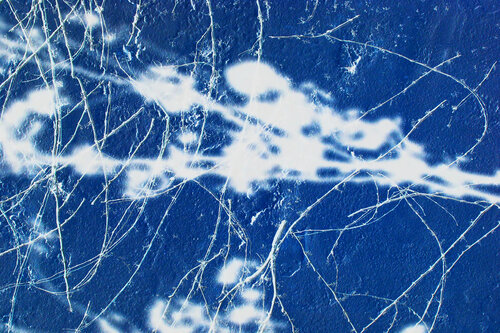 NAND2Art_4426 Digital cyanotype by Philippe Rivens, Photography for Sale on Singulart