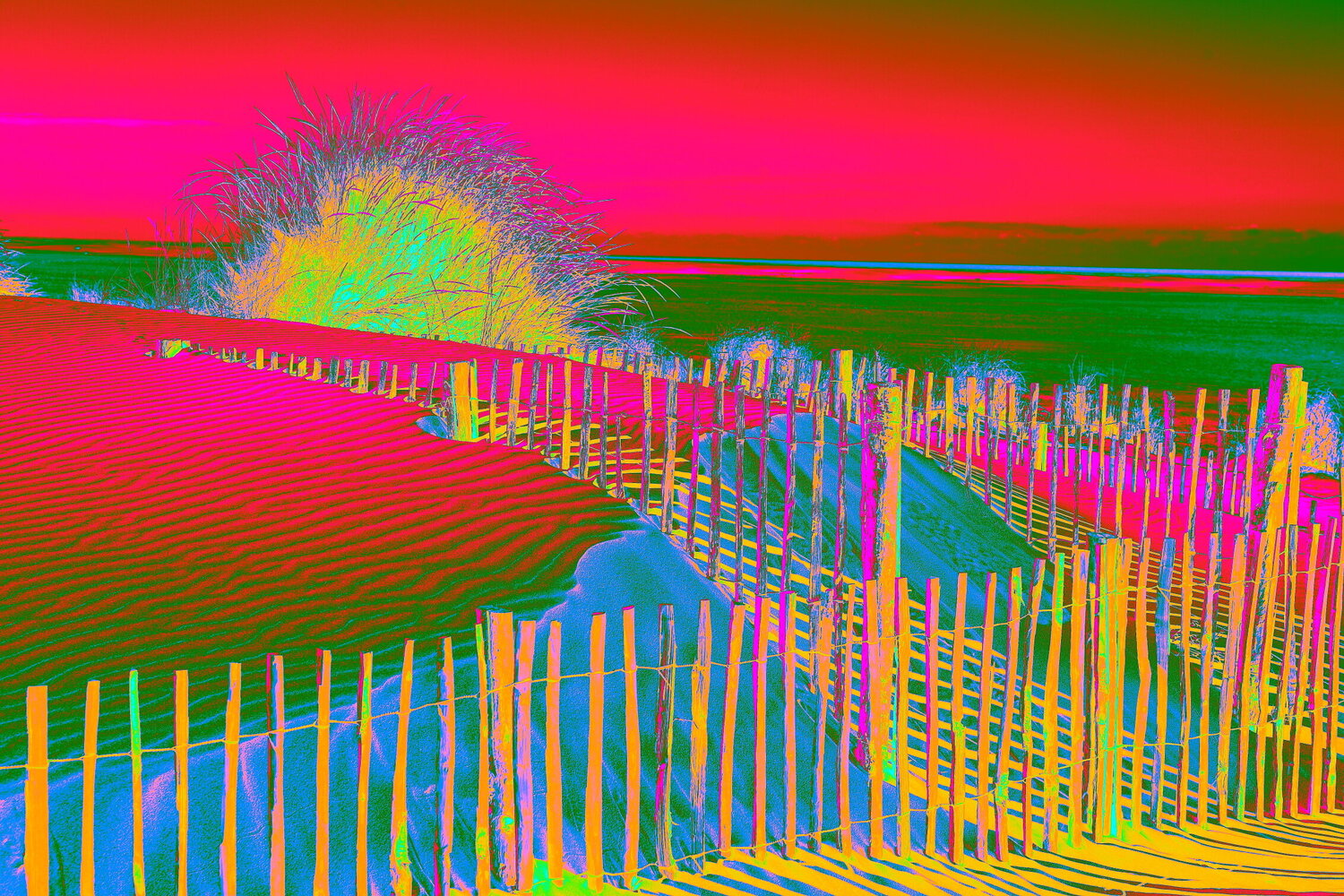 POPS_1302-1 Philippe Rivens