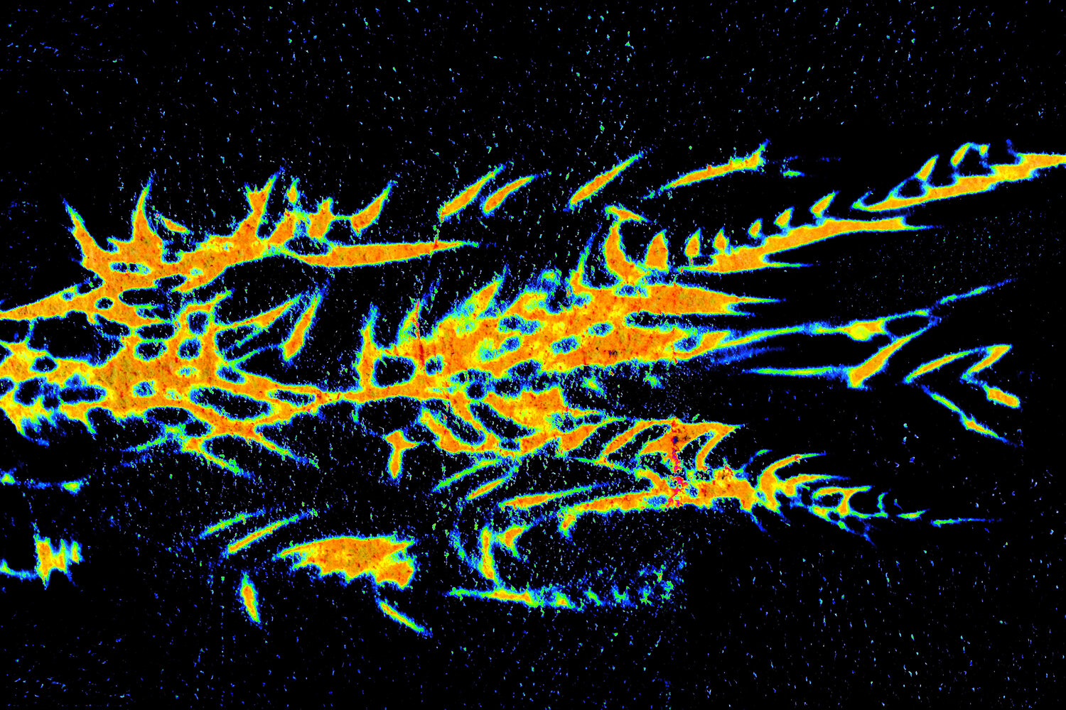 NAND2Art_4325 Pixels fossilisés Philippe Rivens