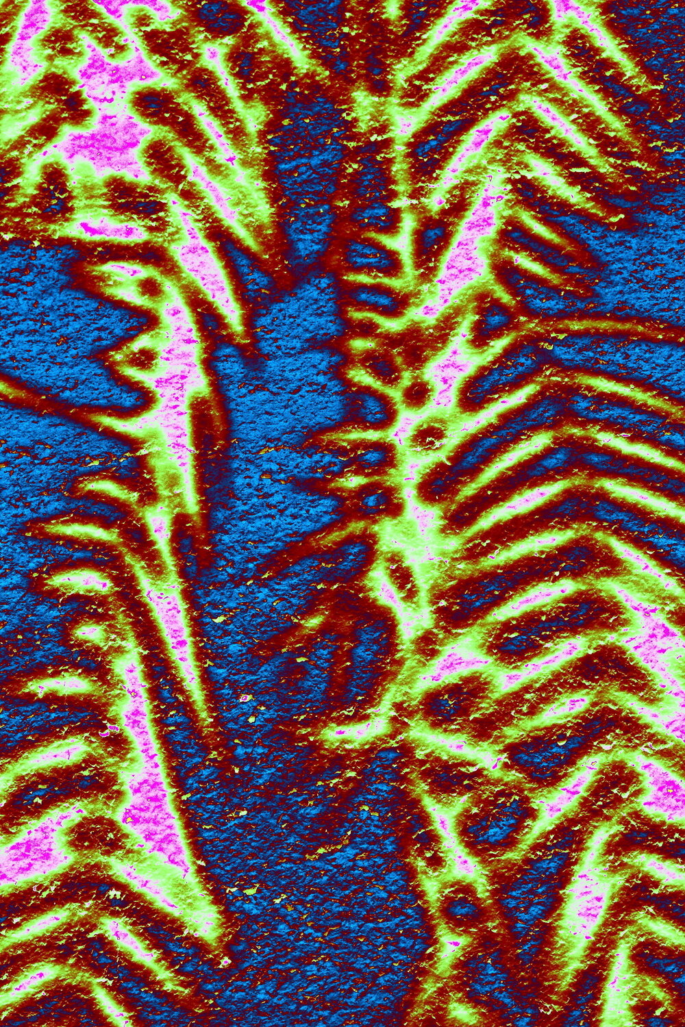 NAND2Art_4413-5 Amour primitif Philippe Rivens