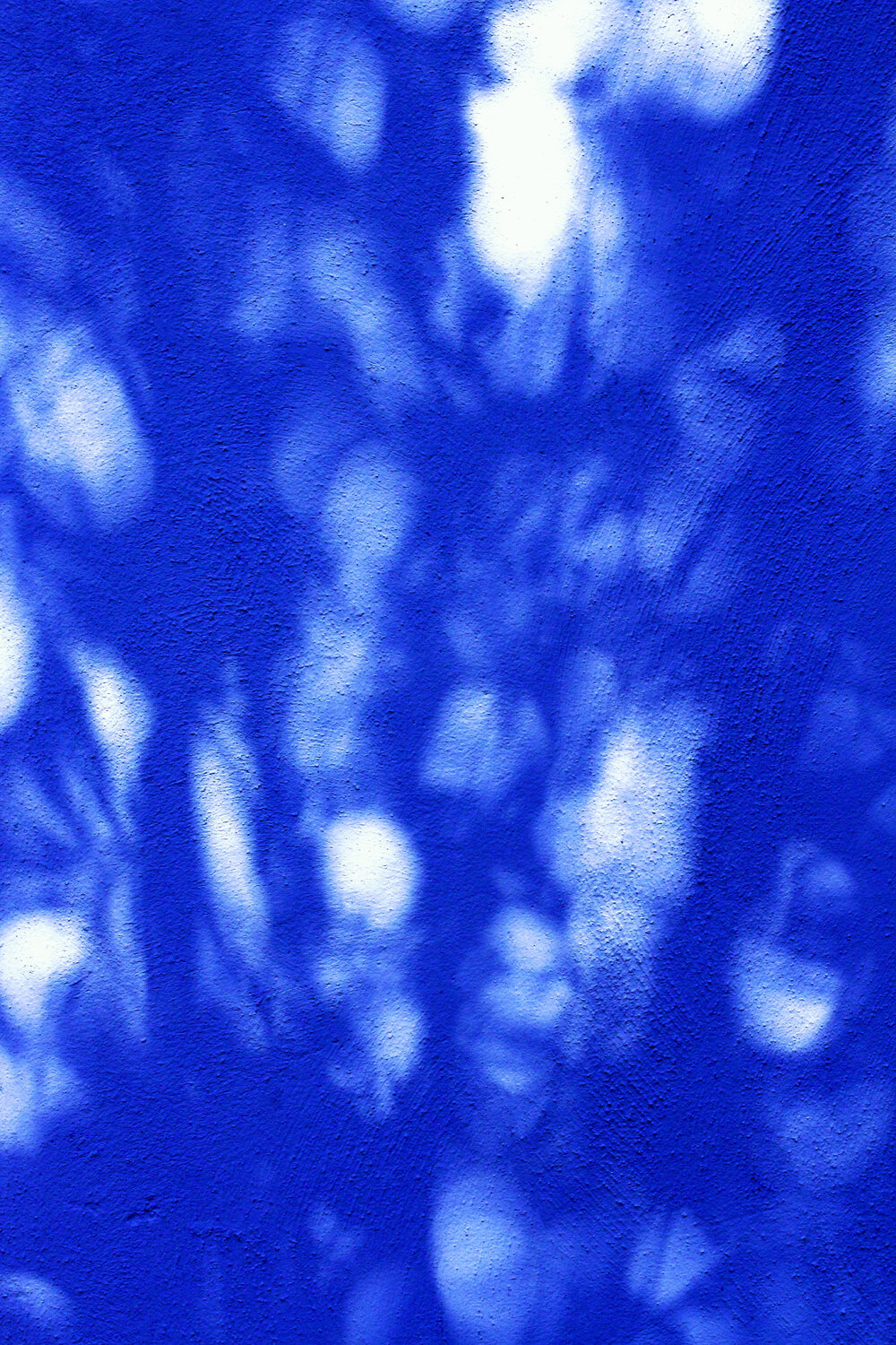 NAND2Art_4392 Digital cyanotype Philippe Rivens