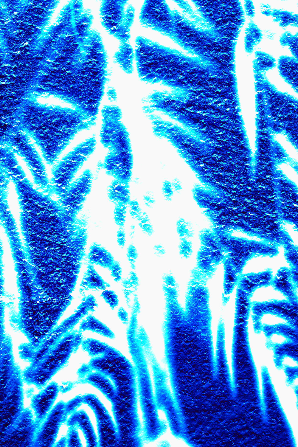 NAND2Art_4411 Digital cyanotype Philippe Rivens