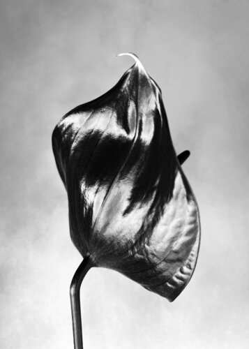 Singularity 1 von Carlos Teixeira, Fotografie kaufen auf Singulart