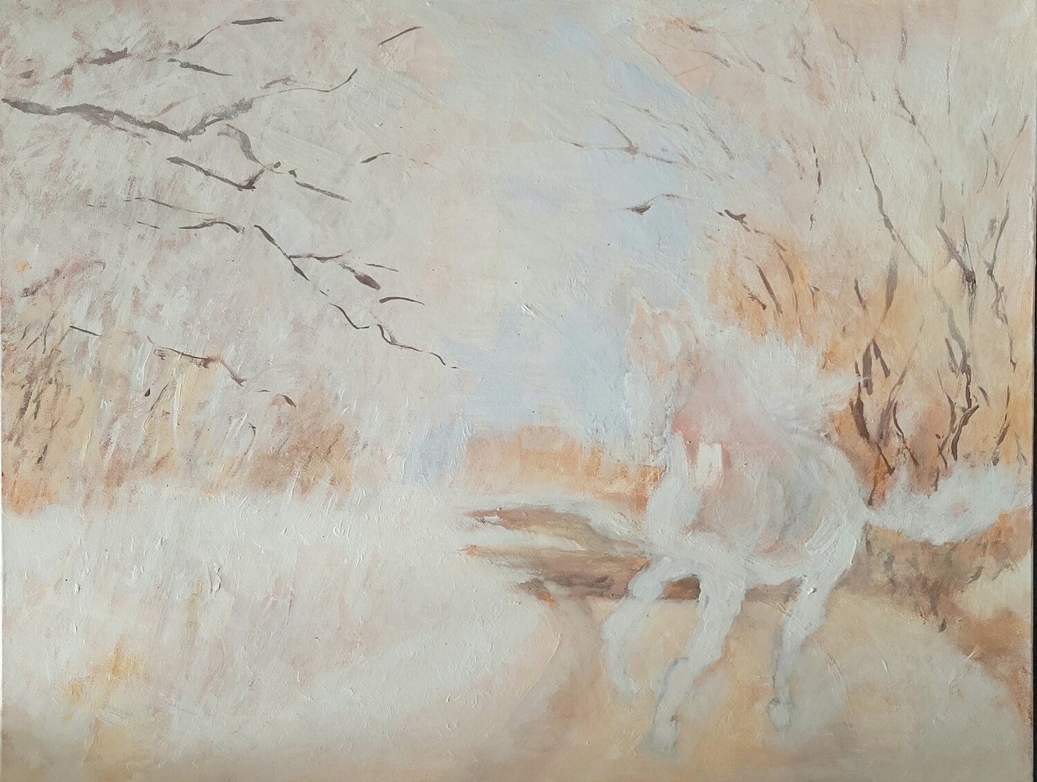 Galop alezan Christian Delavelle