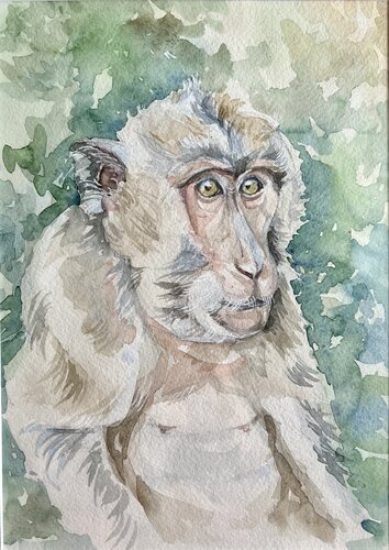 Monkey portrait van Olena Horova, Schilderij te koop op Singulart