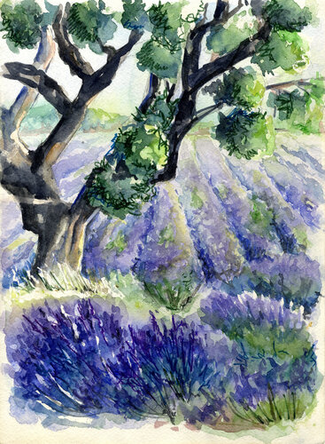 Lavender von Olena Horova, Malerei kaufen auf Singulart