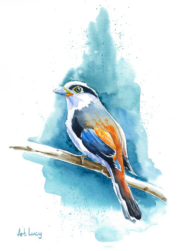 Breasted Broadbill by Olena Horova, Painting for Sale on Singulart
