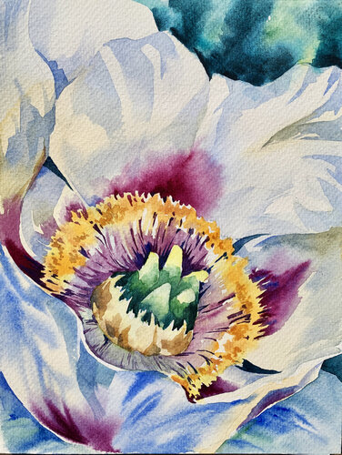 Peony de Olena Horova, Pintura a la venta en Singulart