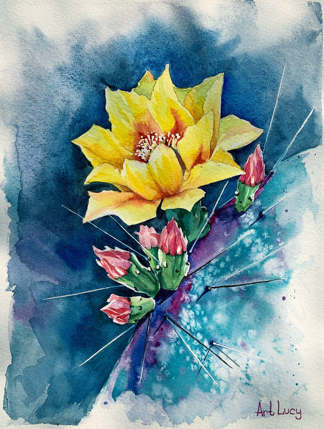 Blooming cactus Olena Horova