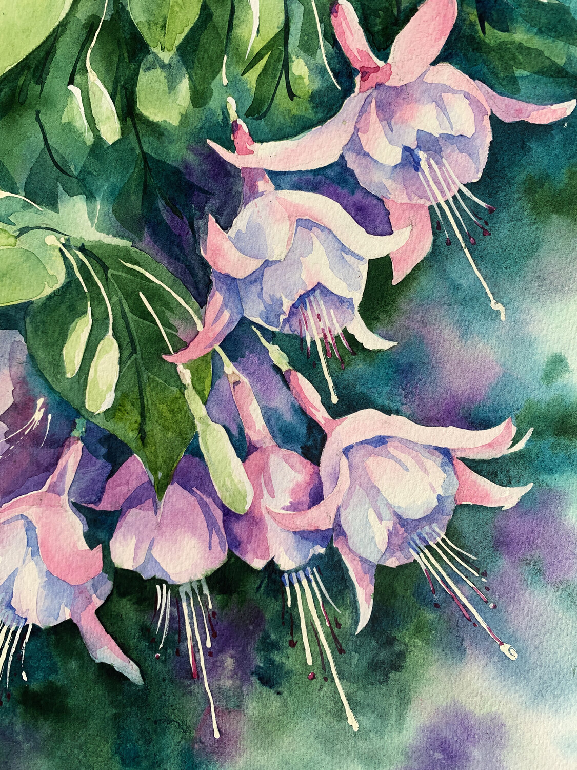 Fuchsia Olena Horova