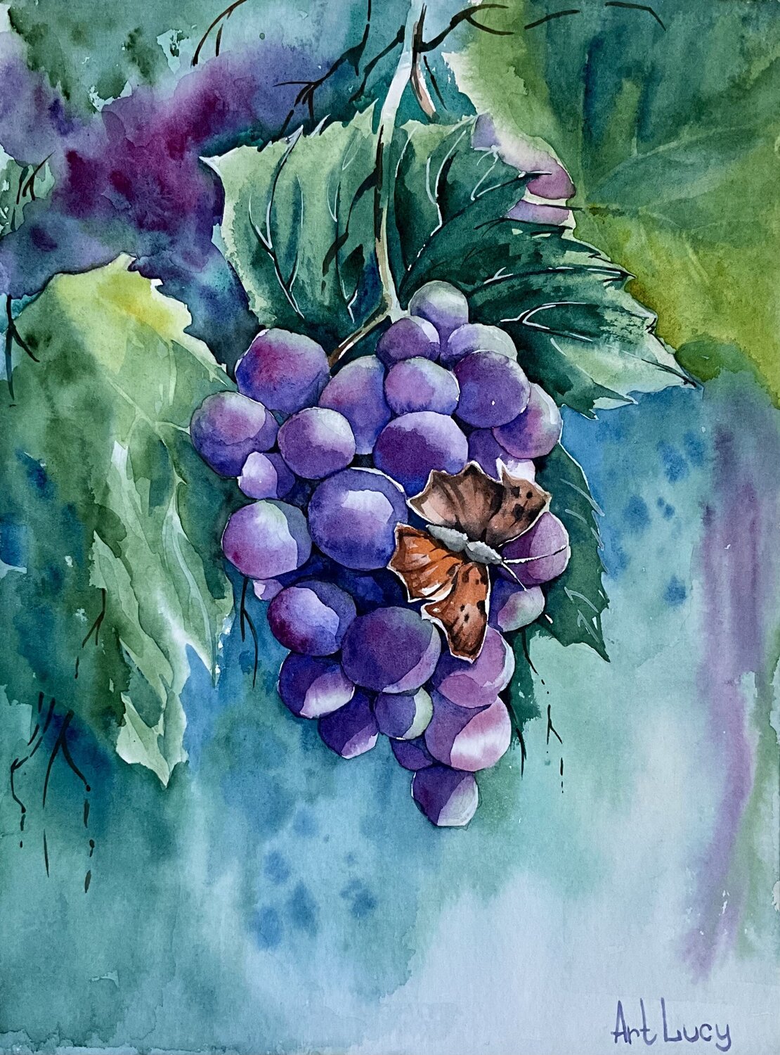 Grape Olena Horova