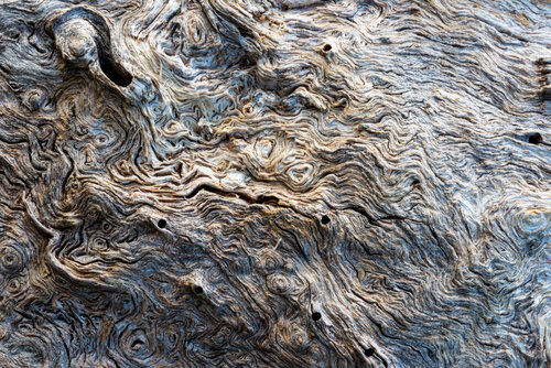 Subsurface Form van Giovanni Casetti, Fotografie te koop op Singulart