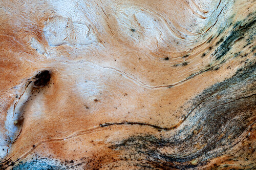 Inner Form von Giovanni Casetti, Fotografie kaufen auf Singulart