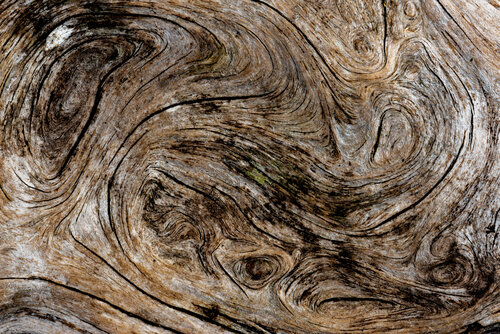 Torsion Form de Giovanni Casetti, Fotografía a la venta en Singulart