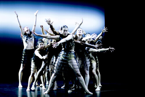 Kreatur V Kornelia Boje