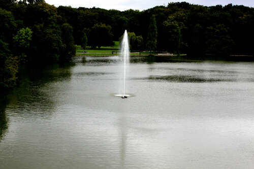 Dein Tag by Kornelia Boje, Photography for Sale on Singulart