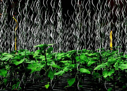Spiralen van Kornelia Boje, Fotografie te koop op Singulart